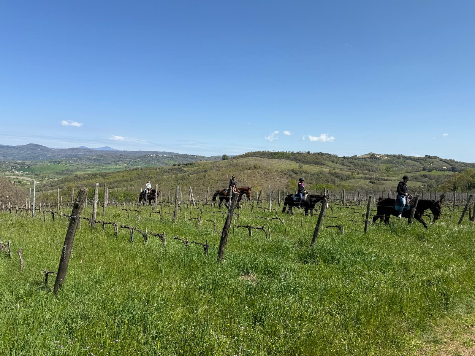 1-walk-a-horse-agriculture-the-plains