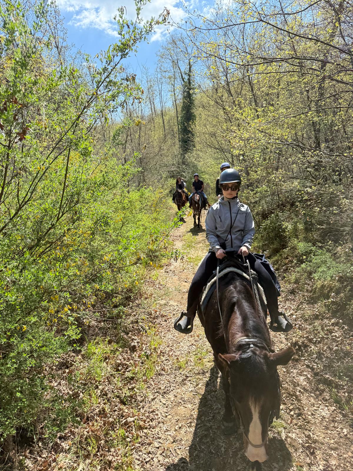 3-walk-a-horse-agriculture-the-plains