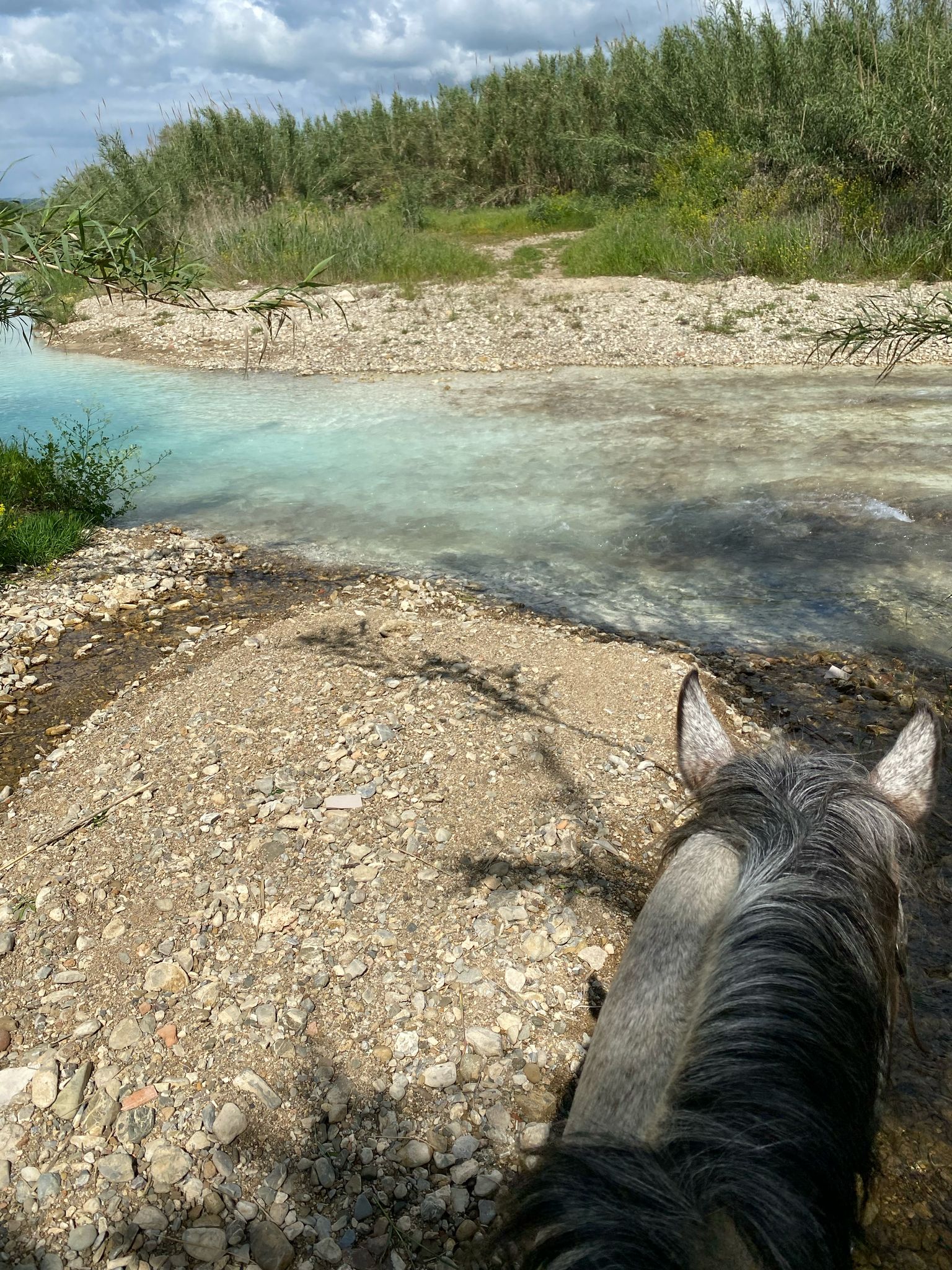 3-terme-saturnia-agriculture-the-planes