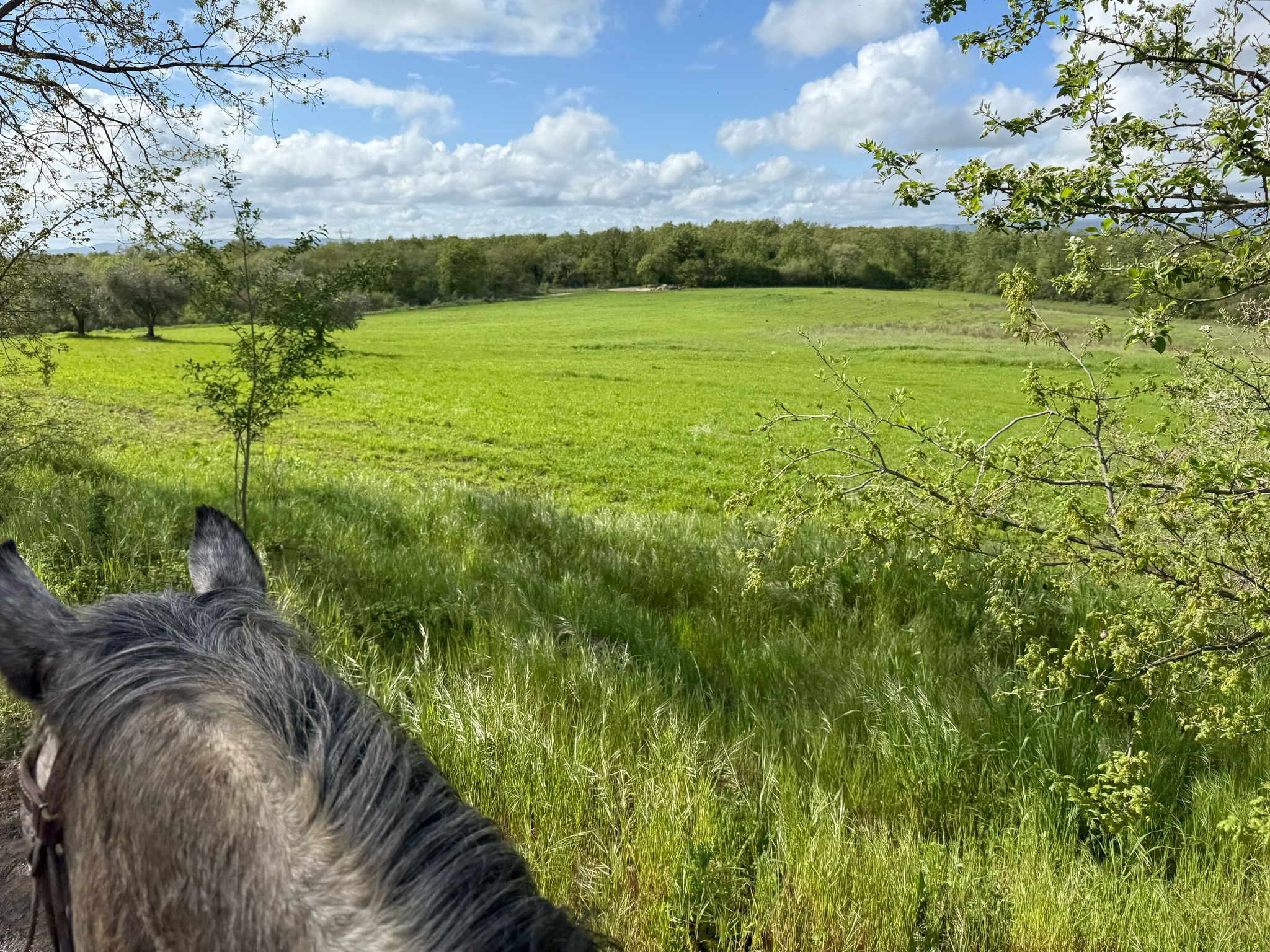 passeggiata-al-fiume